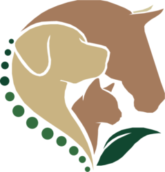 Tierarztpraxis Kirsten Günther