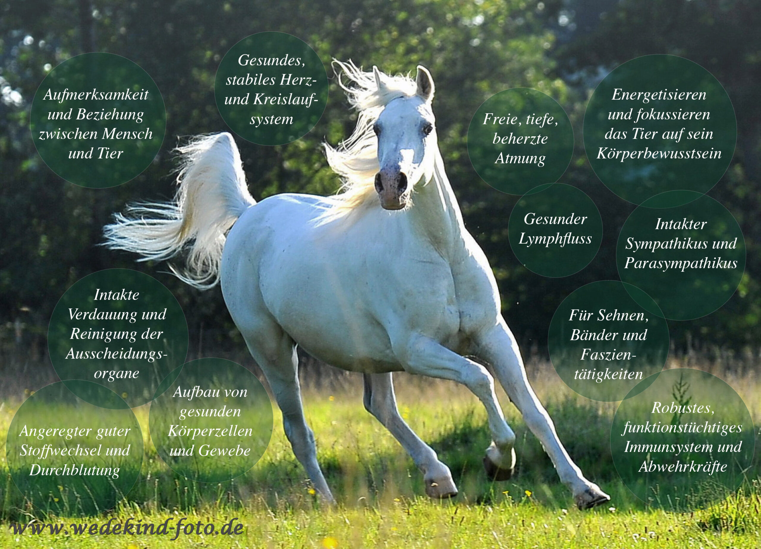 Sahid_Sept_2012__013-ueberarbeitet