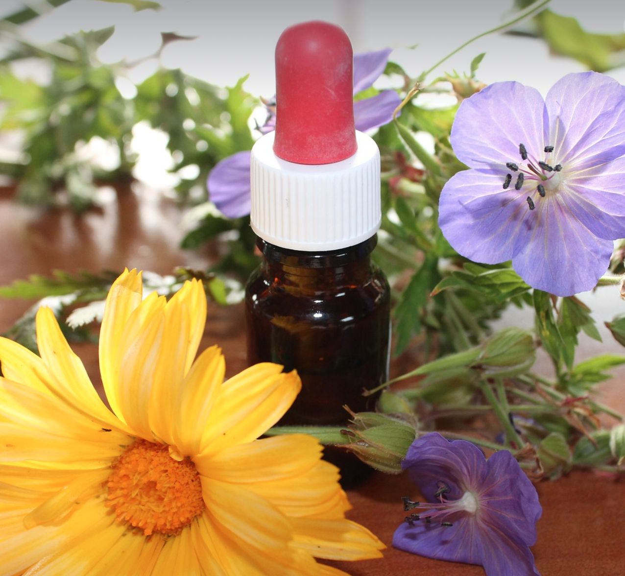 Homöopathie-guenther